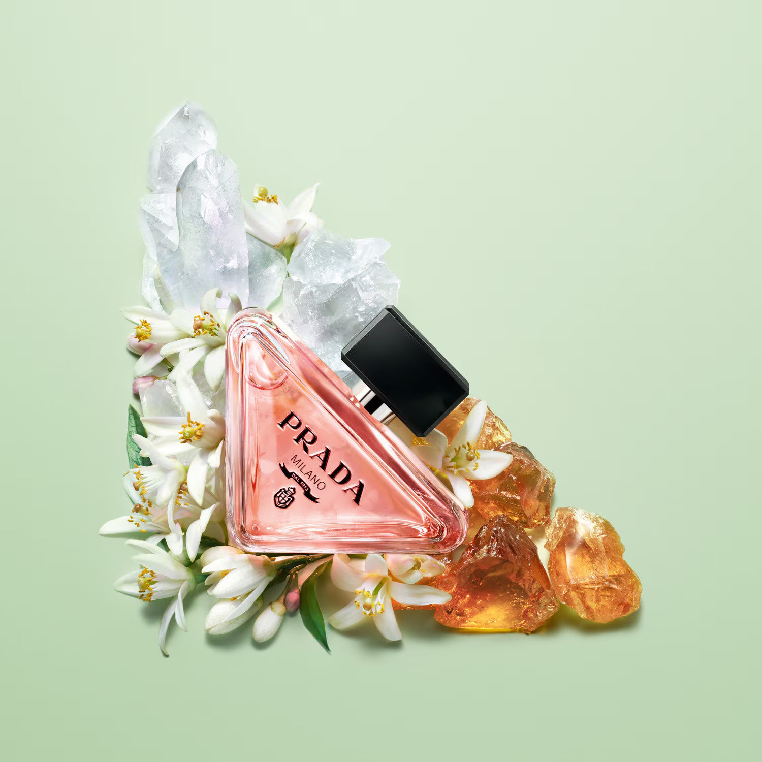 PRADA Duo Paradoxe - Eau de Parfum